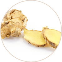 Ginger