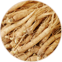 Ginseng