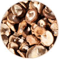 Reishi